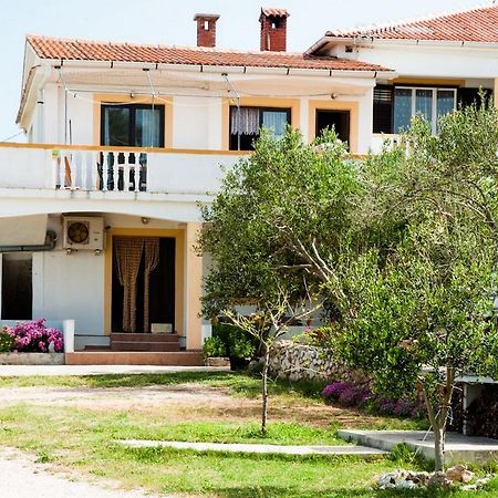 Apartments Sanja Povljana Dış mekan fotoğraf