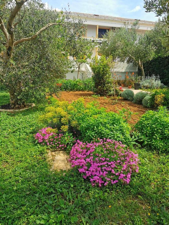 Apartments Sanja Povljana Dış mekan fotoğraf