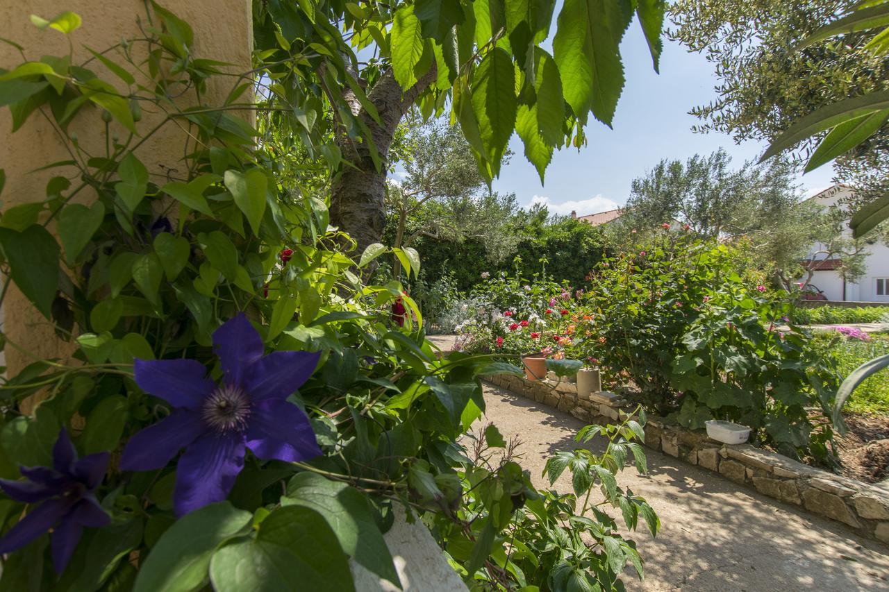 Apartments Sanja Povljana Dış mekan fotoğraf