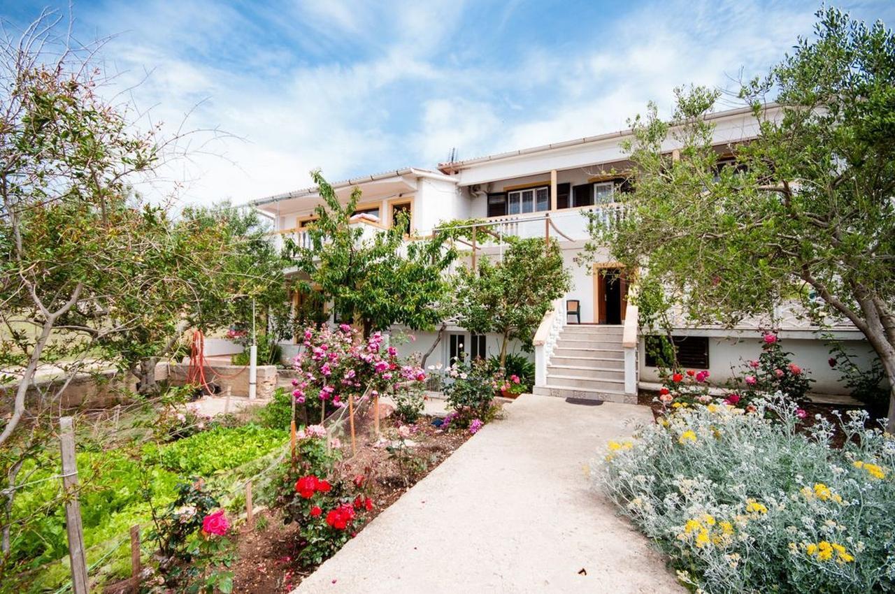Apartments Sanja Povljana Dış mekan fotoğraf